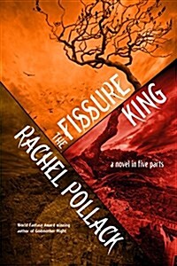 The Fissure King: A Novel in Five Stories (Paperback)