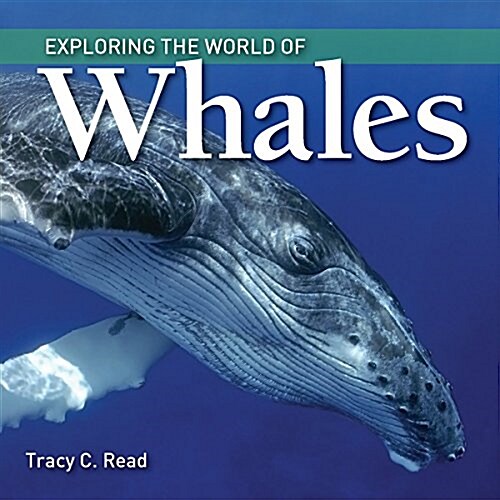 Exploring the World of Whales (Paperback)