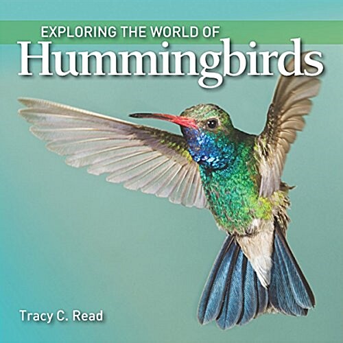 Exploring the World of Hummingbirds (Paperback)