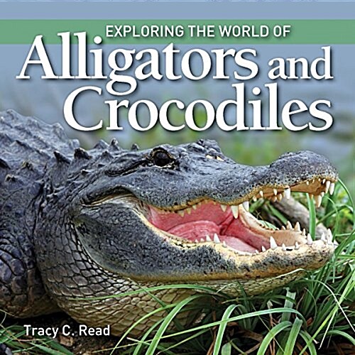 Exploring the World of Alligators and Crocodiles (Paperback)
