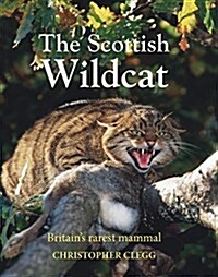 The Scottish Wildcat : Britains most endangered mammal (Hardcover)
