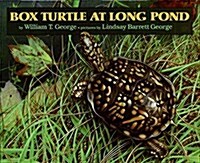 Box Turtle at Long Pond (Hardcover)