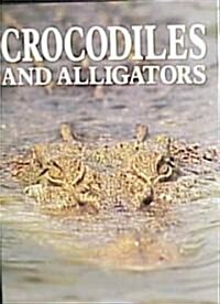 Crocodiles and Alligators (Hardcover)