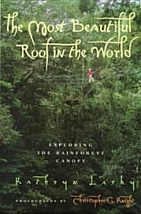 [중고] The Most Beautiful Roof in the World: Exploring the Rainforest Canopy (Paperback)