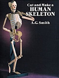 Cut and Make a Human Skeleton (Paperback)
