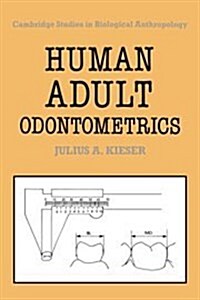 Human Adult Odontometrics : The Study of Variation in Adult Tooth Size (Hardcover)