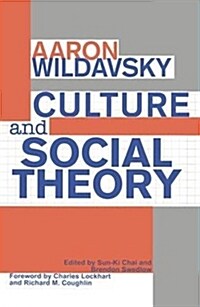Culture and Social Theory (Hardcover)