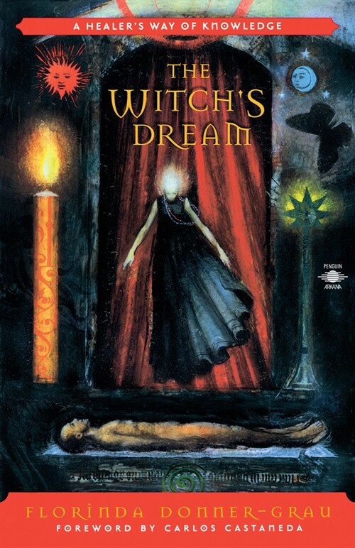 The Witchs Dream : A Healers Way of Knowledge (Paperback)