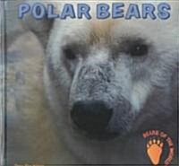 Polar Bears (Library Binding)