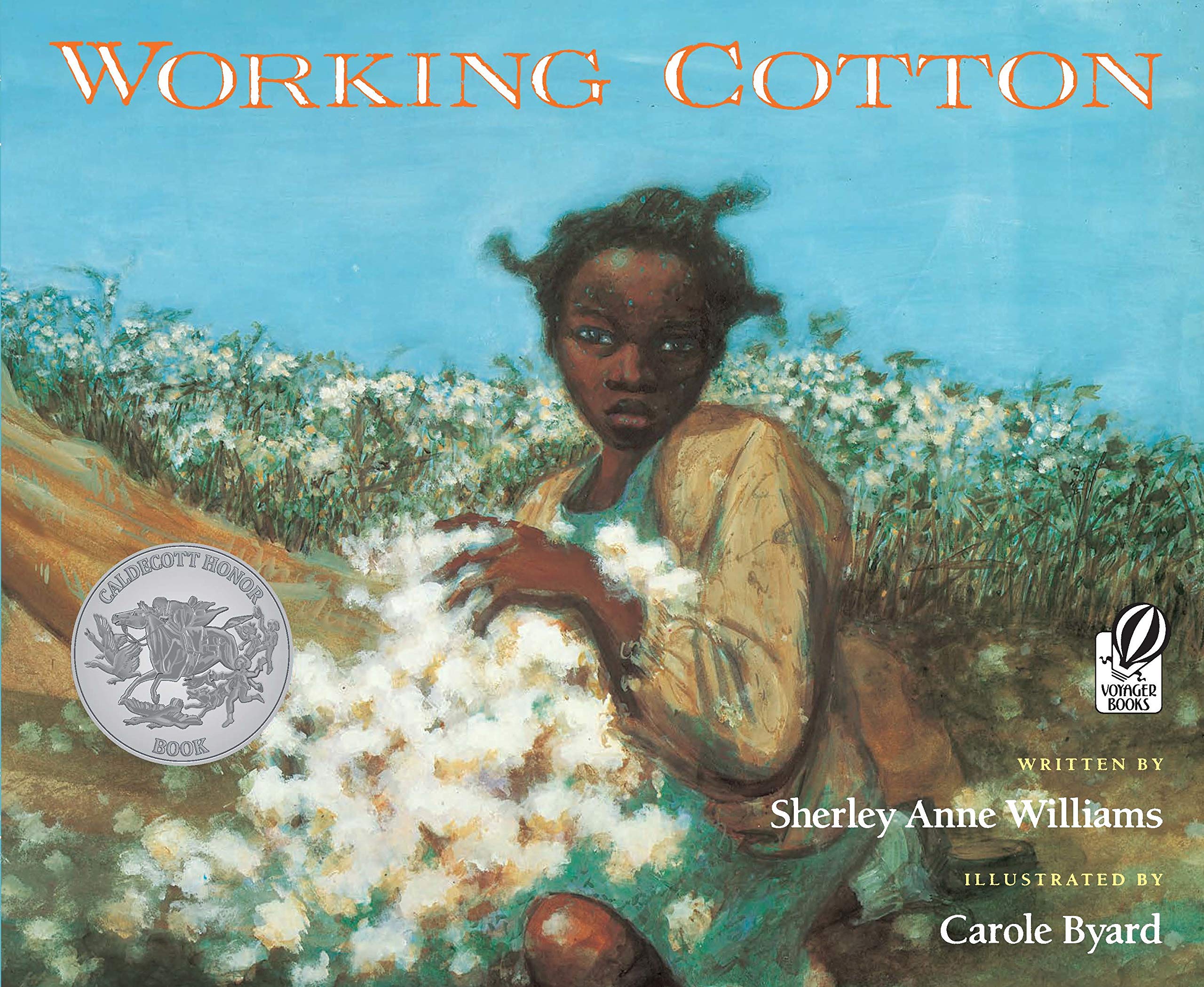 Working Cotton (Paperback, Reprint)