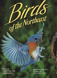 Birds of the Northeast: Washington, D.C. Through New England (Paperback)