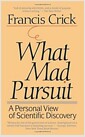 What Mad Pursuit (Paperback)