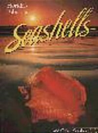 Floridas Fabulous Seashells: And Other Seashore Life (Paperback, 2)