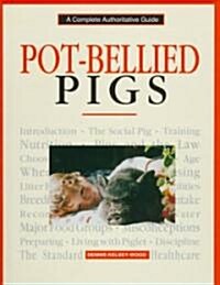 Pot-Bellied Pigs (Hardcover)