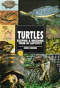 Guide to Owning Turtles (Paperback)