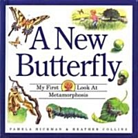A New Butterfly (Hardcover)