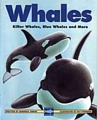 Whales (Hardcover)