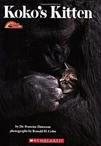 [중고] Kokos Kitten (Paperback)