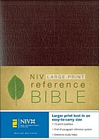 Holy Bible (Paperback, Large Print)