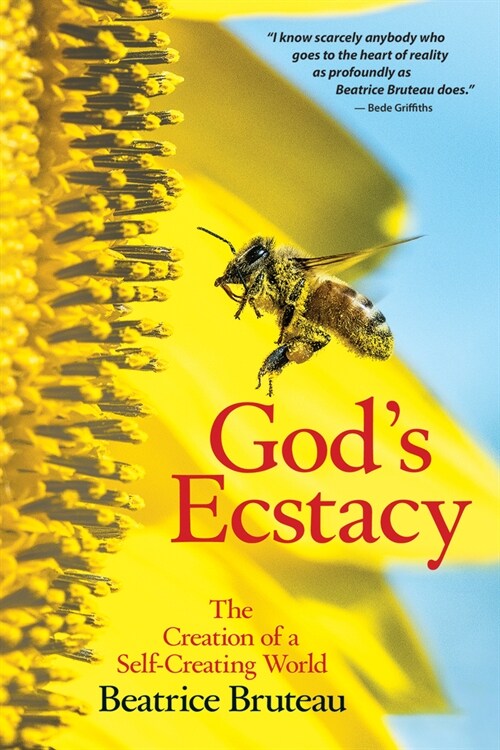 Gods Ecstasy The Creation of a Self-Creating World (Paperback)