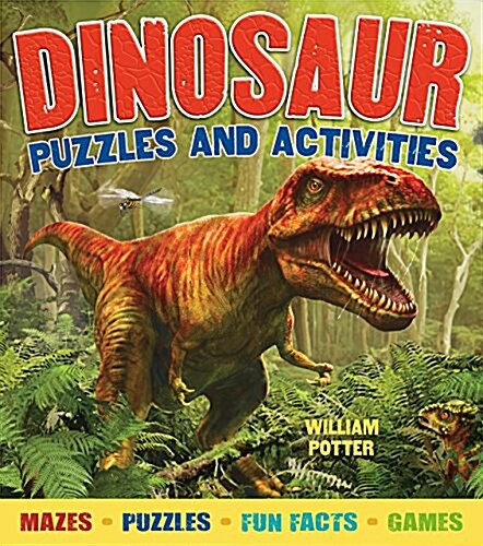 DINOSAUR PUZZLES AND ACTIVITIES (Paperback)