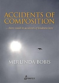 Accidents of Composition (Paperback)