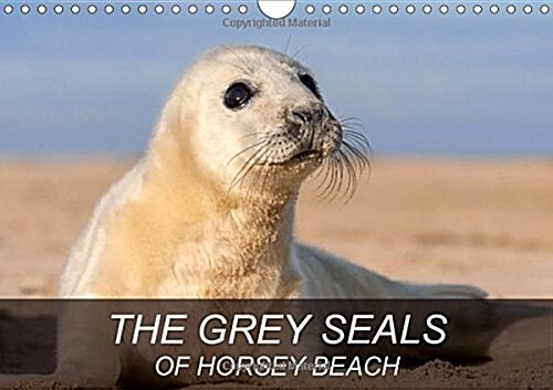 THE Grey Seals of Horsey Beach 2018 : Beautiful Photographs of a British Grey Seal Colony. (Calendar, 3 ed)