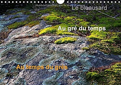Le Bleausard 2018 : Le Calendrier Des Fans Descalade a Fontainebleau (Calendar, 3 ed)