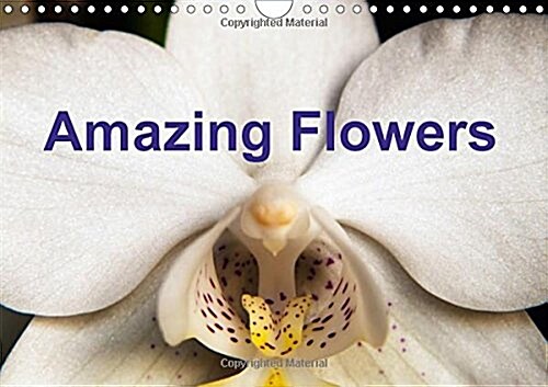 Amazing Flowers 2018 : Beautiful Floral Images (Calendar, 3 ed)