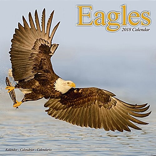 Eagles Calendar 2018 (Calendar)