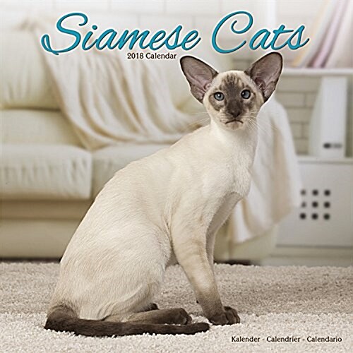 Siamese Cats Calendar 2018 (Calendar)