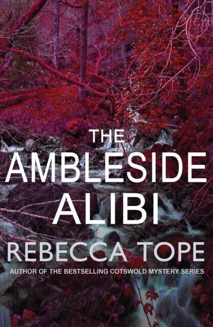 The Ambleside Alibi : The gripping English cosy crime series (Paperback)