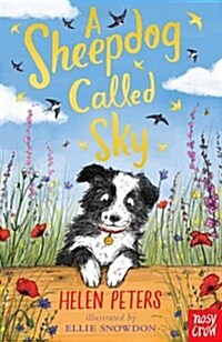 A Sheepdog Called Sky (Paperback)