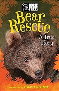 Born Free: Bear Rescue (Paperback)