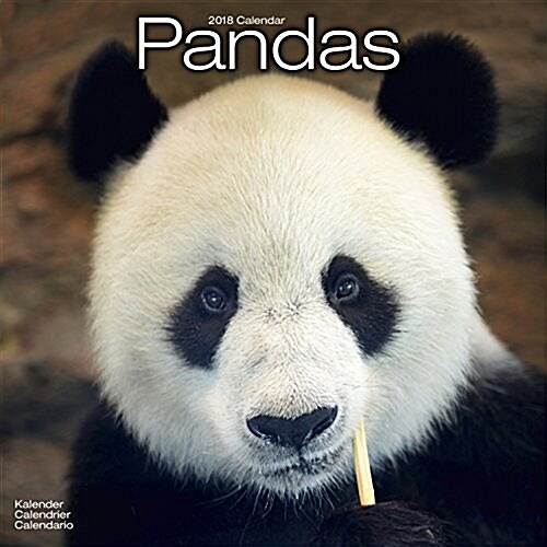 Pandas Calendar 2018 (Calendar)