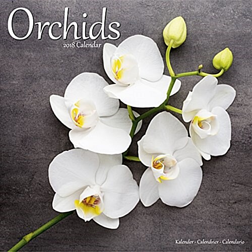 Orchids Calendar 2018 (Calendar)