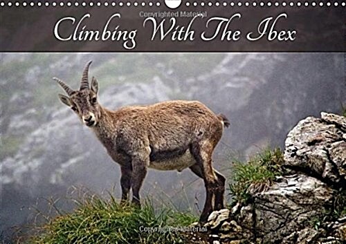 Climbing with the Ibex 2018 : The Allgau Alps (Calendar, 3 ed)