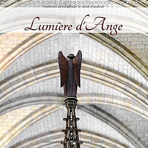 Lumiere Dange 2018 : Sculptures Danges (Calendar, 3 ed)