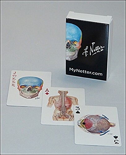 Netter Playing Cards: Netters Anatomy Art Card Deck (Single Pack) (Other)