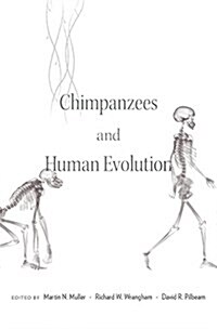 Chimpanzees and Human Evolution (Hardcover)