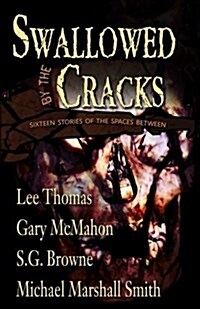 Swallowed by the Cracks (Paperback)
