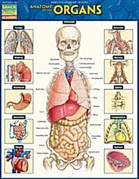 Anatomy of the Organs: Quickstudy Laminated Reference Guide (Loose Leaf)
