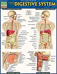 Anatomy of the Digestive System: Quickstudy Laminated Reference Guide (Loose Leaf, 2, Second Edition)