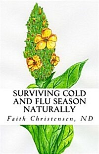 Surviving Cold and Flu Season Naturally (Paperback)