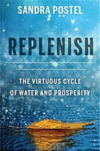 Replenish: The Virtuous Cycle of Water and Prosperity (Hardcover)