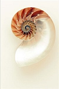 A Simple and Lovely Nautilus Seashell Journal: 150 Page Lined Notebook/Diary (Paperback)