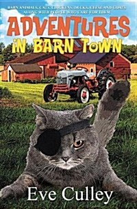 Adventures in Barn Town (Paperback)