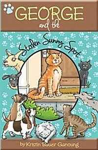 George and the Stolen Sunny Spot (Paperback)