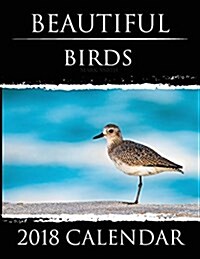 Beautiful Birds - 2018 Calendar (Paperback)