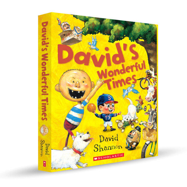 [중고] Davids Wonderful Times 픽쳐북 Box Set (Paperback 5권 + Audio CD 1장)